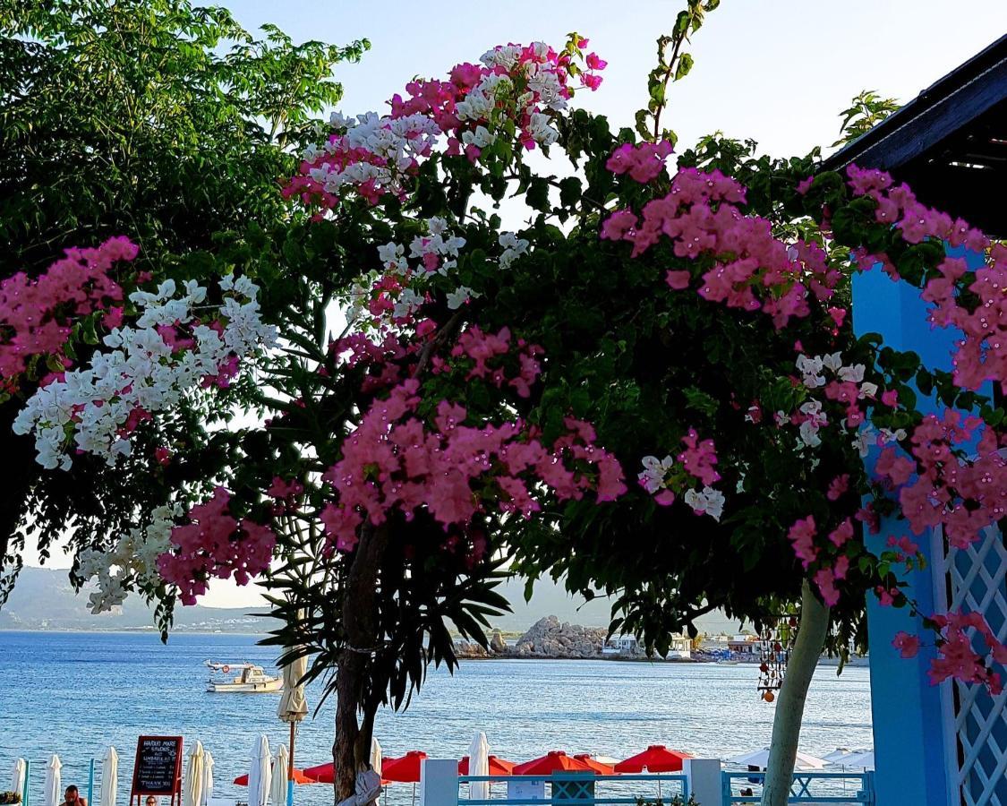 Haraki Mare Studios Beach Front Exterior foto